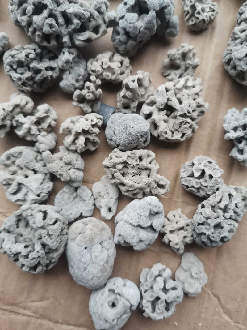 海浮石花大花现货产地直销量大从优欢迎采购