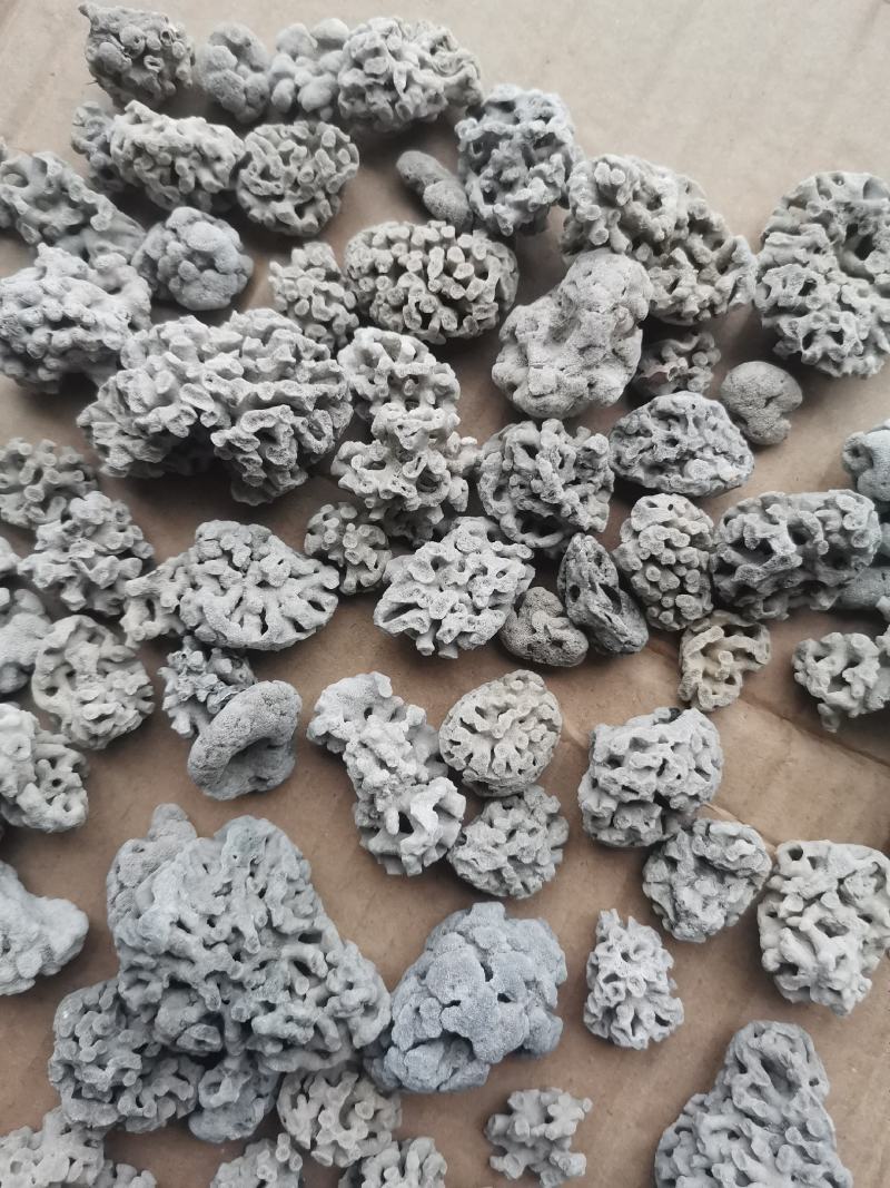 海浮石花大花现货产地直销量大从优欢迎采购