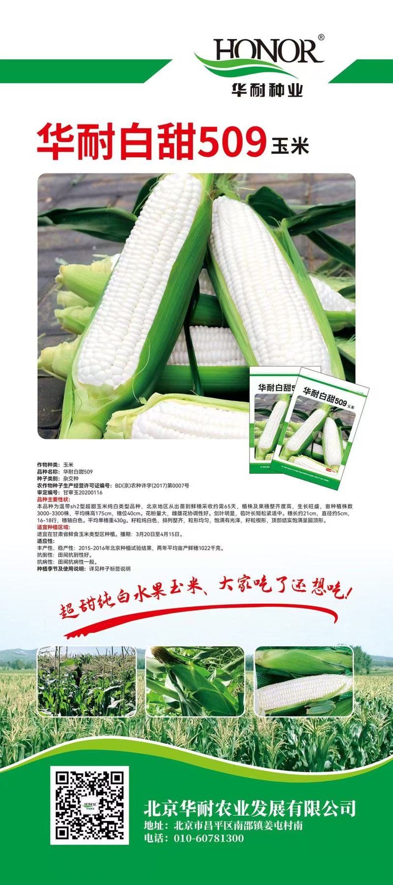 泰系玉米燕窝雪糯黑珍珠玉米迪彩676爆浆牛奶玉米种子