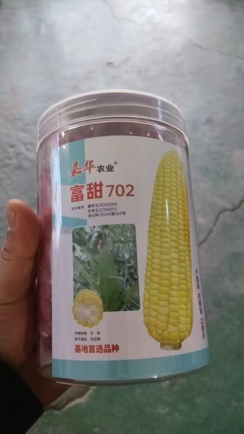 泰系玉米燕窝雪糯黑珍珠玉米迪彩676爆浆牛奶玉米种子