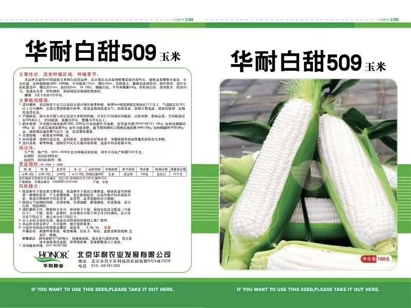 泰系玉米燕窝雪糯黑珍珠玉米迪彩676爆浆牛奶玉米种子