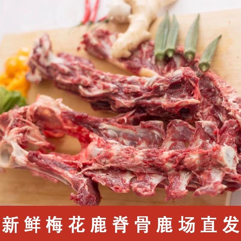 鹿脊骨头龙骨脊背骨新鲜脊骨脊柱骨头鹿脊骨煲老汤