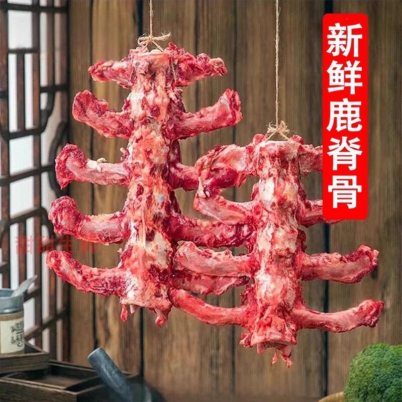 鹿脊骨头龙骨脊背骨新鲜脊骨脊柱骨头鹿脊骨煲老汤