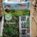 速冻苦菜，又名:甜苣菜、曲麻菜等