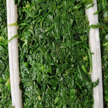 速冻荠菜新鲜荠菜