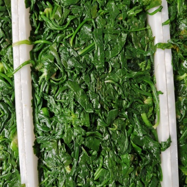 速冻荠菜新鲜荠菜