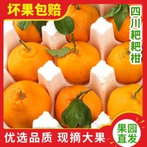 春见粑粑柑《一件代发》抖音～拼多多～快手对接各大电商平台