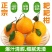 《一件代发》春见耙耙柑，对接各大电商平台现货日发3万单