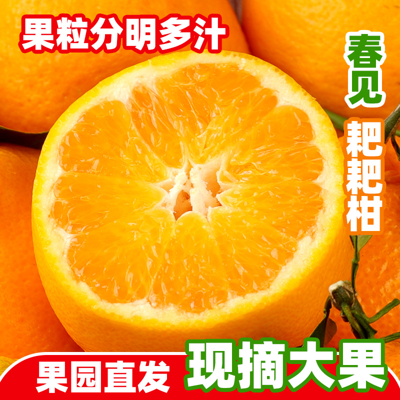 《一件代发》春见耙耙柑，对接各大电商平台现货日发3万单