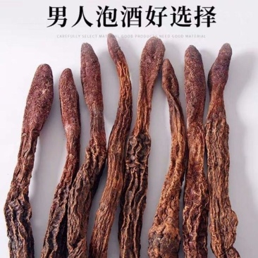 中药材锁阳片整支阿拉善泡酒泡茶保质保量批发零售正品
