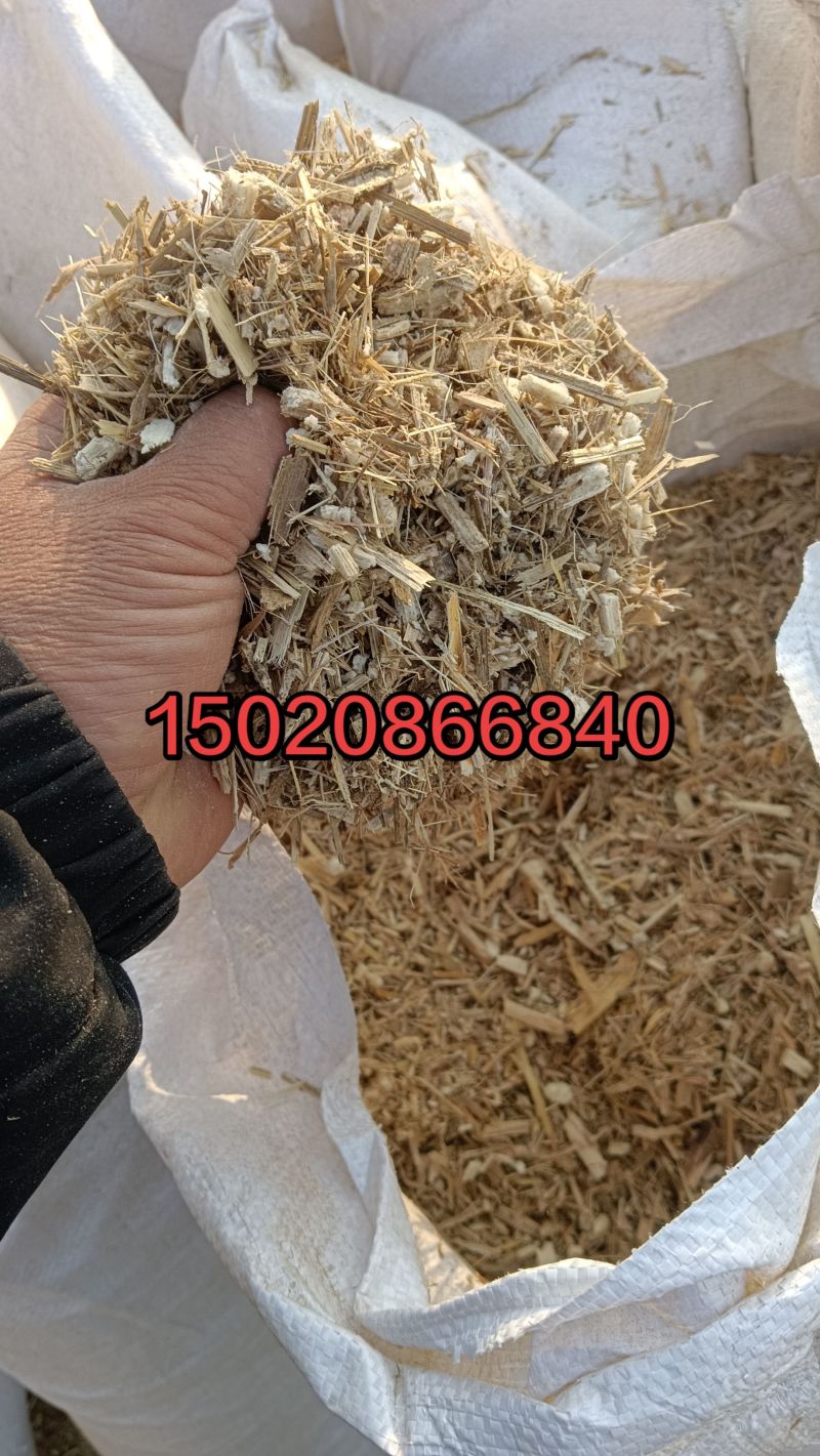 玉米秸秆青储圆包