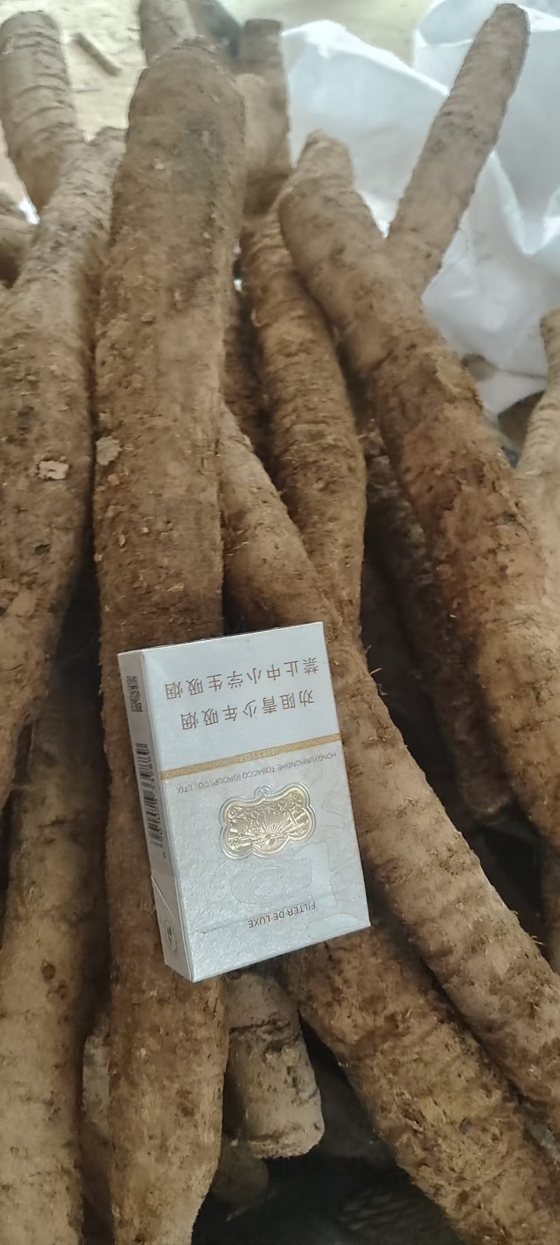 牛大力