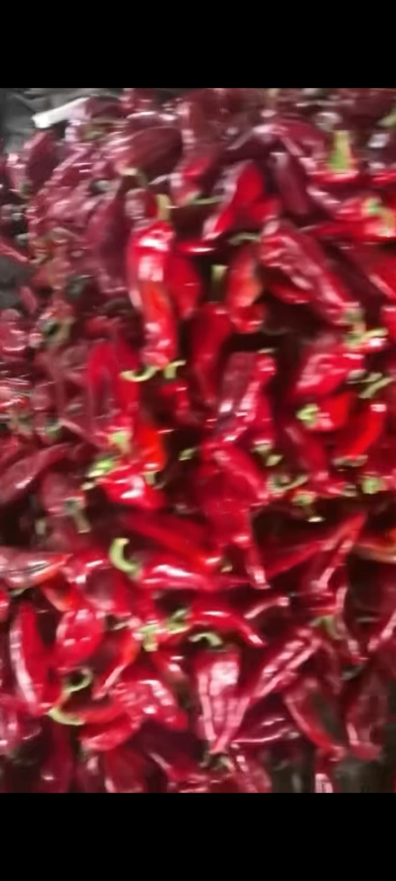 红泡椒绿泡椒撅子精品高通一般货大量有货产地直发量大稳定