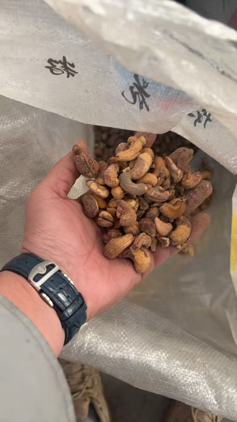 腰果大量供应，电商货，商超货大量供应