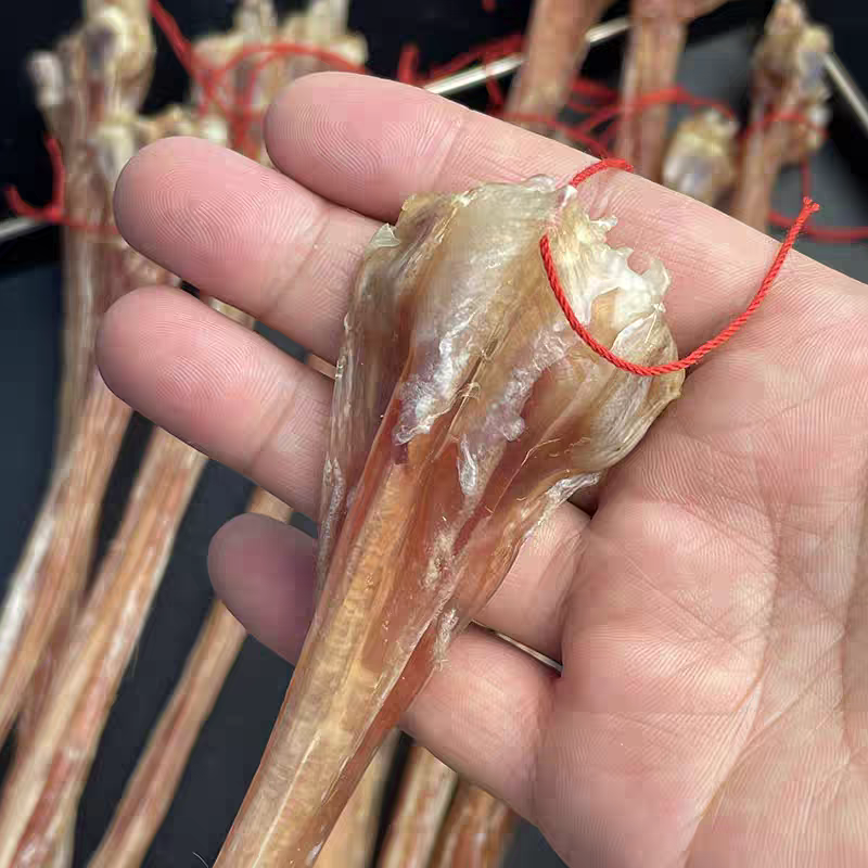 鹿筋正宗梅花鹿鹿筋不带蹄子非牛筋保质保量假一赔十