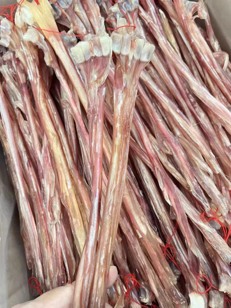 鹿筋正宗梅花鹿鹿筋不带蹄子非牛筋保质保量假一赔十