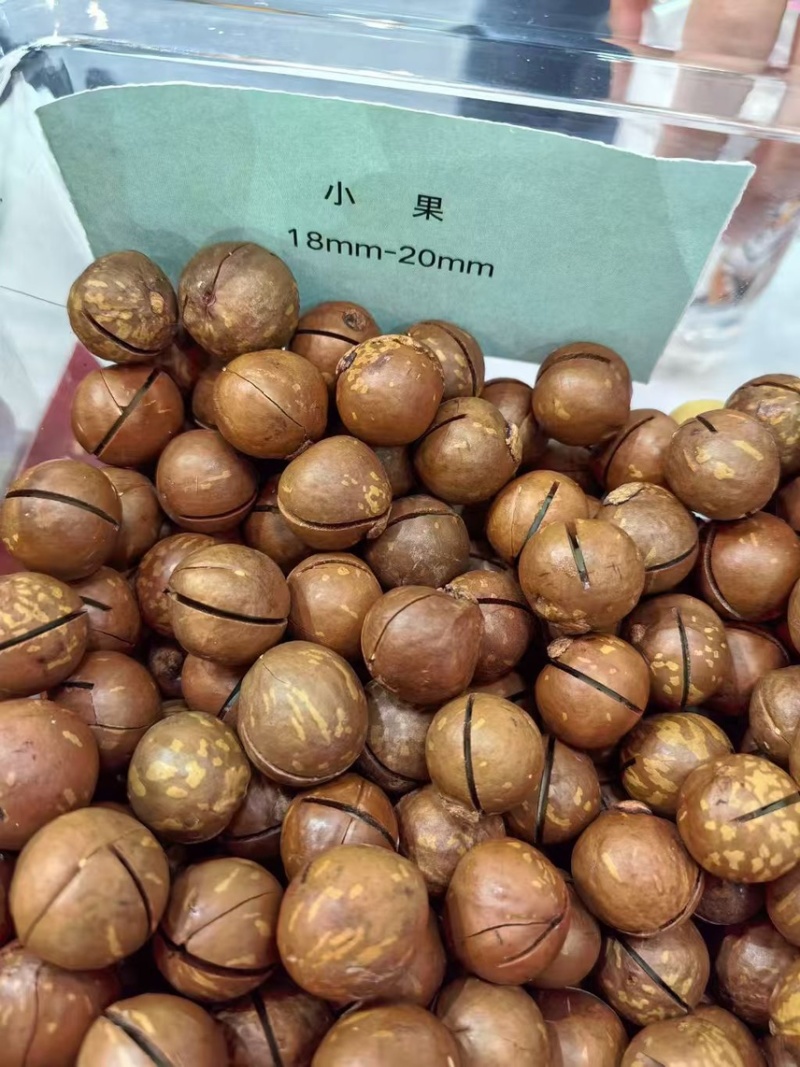 夏威夷果奶香味