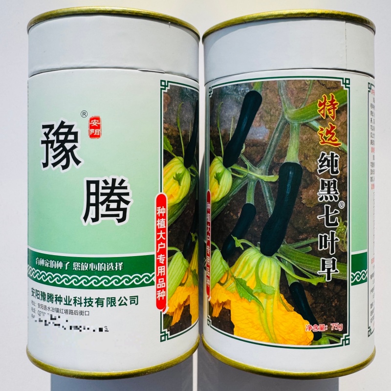 纯黑七叶早南瓜种子早熟嫩南瓜种子味甜微面瓜肚小种植户推荐