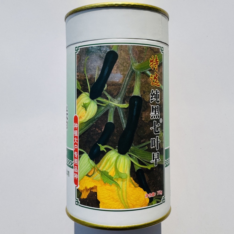 纯黑七叶早南瓜种子早熟嫩南瓜种子味甜微面瓜肚小种植户推荐