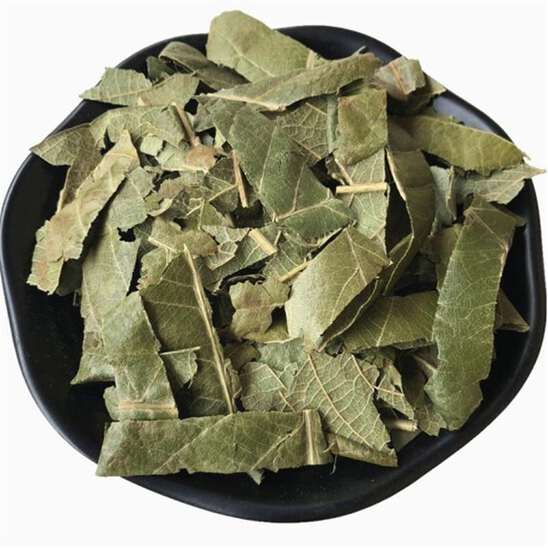 中药材枇杷叶枇杷叶茶琵琶叶批把叶杷叶巴叶