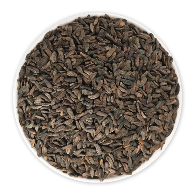 牛蒡子牛旁子牛蒡子大力子牛蒡籽中药材茶