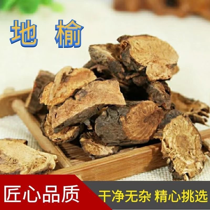 地榆中药材生地榆精选打粉地榆炭赤地榆