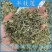 新款半枝莲中药材新鲜干货中草药冲泡***无硫熏花草茶