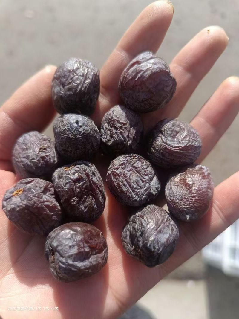 涉县软枣