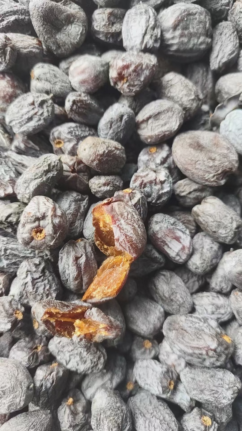涉县软枣