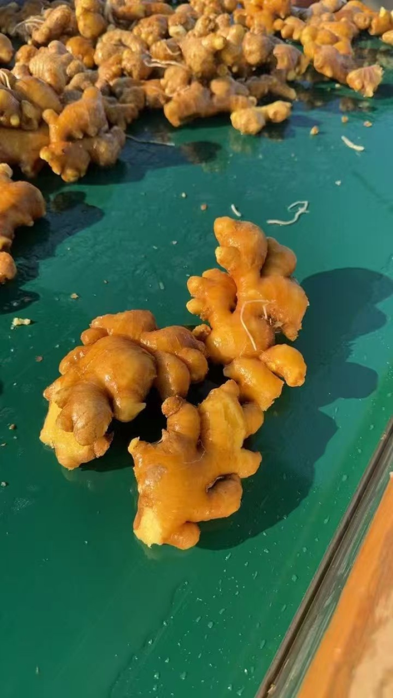 云南无硫小黄姜片小黄姜老母姜片干姜片