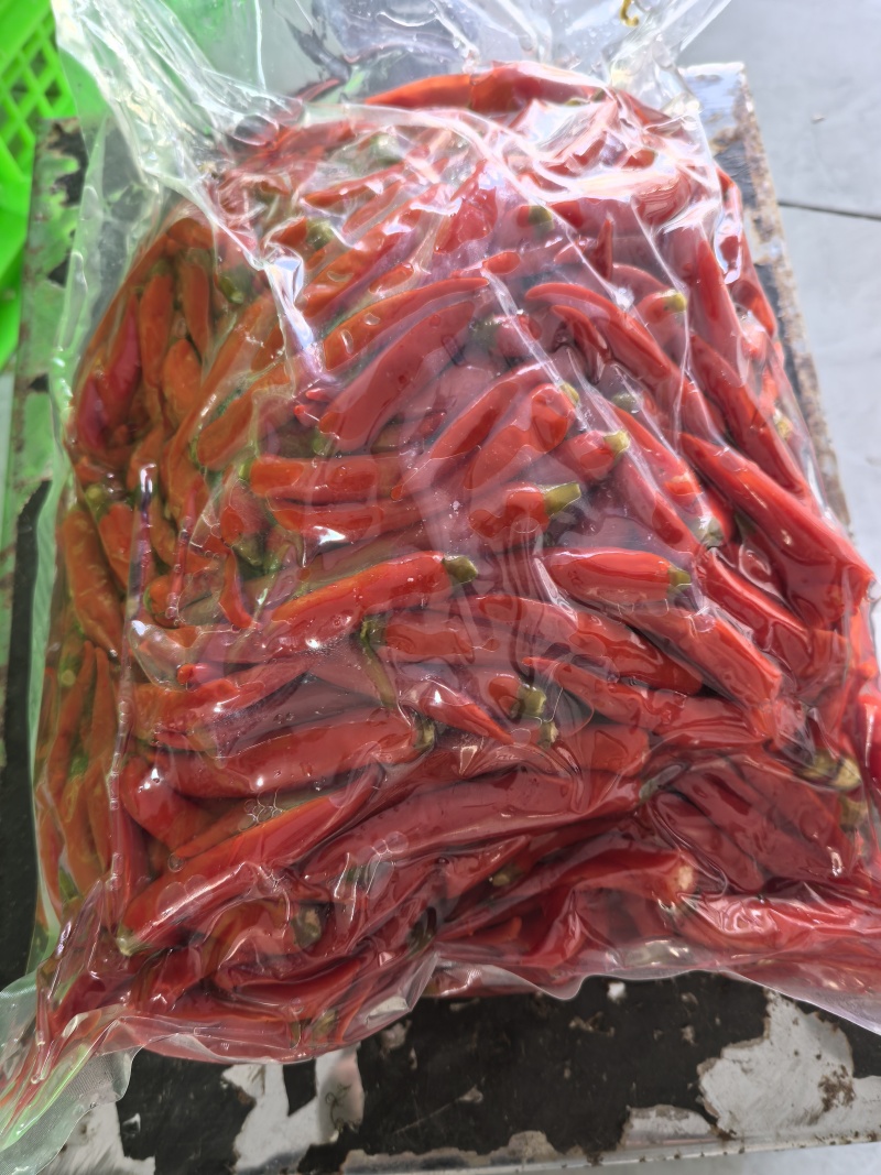 云南禄丰高山露天泡椒小米辣，全国发货，欢迎联系