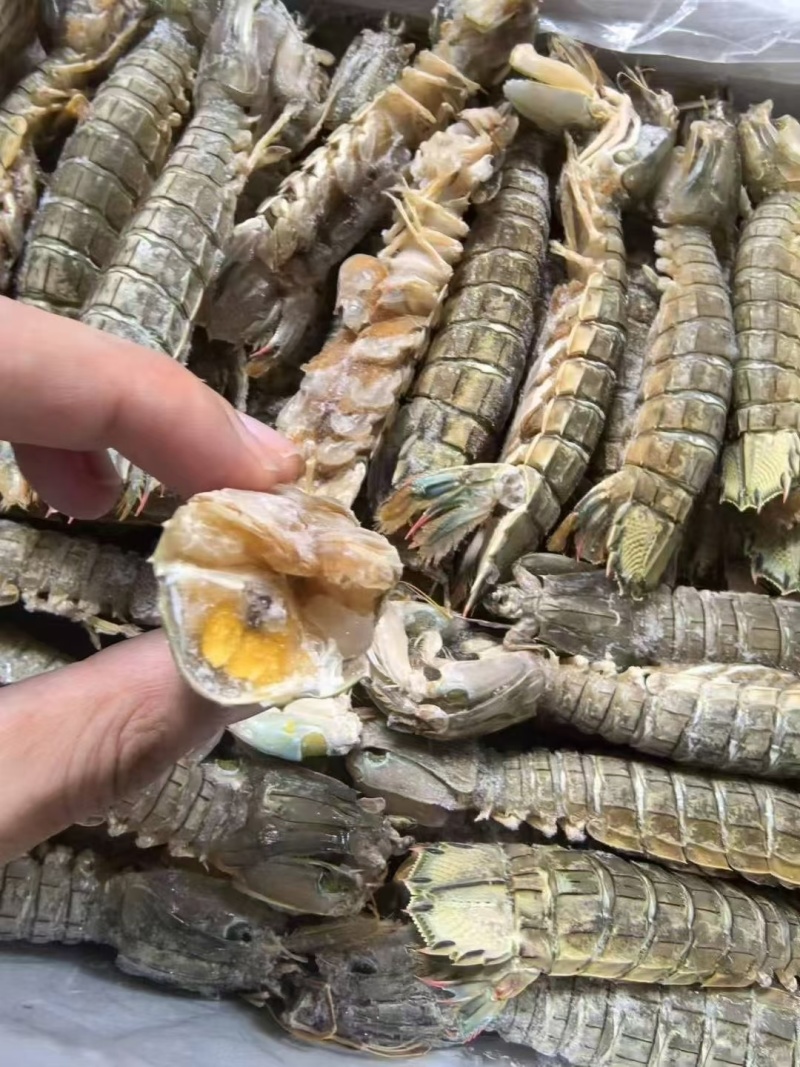 皮皮虾虾肉纯虾肉活剥虾肉，保质保量，可视频看货