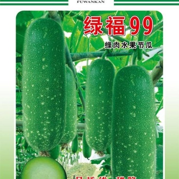冬瓜种子绿福99早熟花点毛节瓜杂交品种翠绿皮绿肉