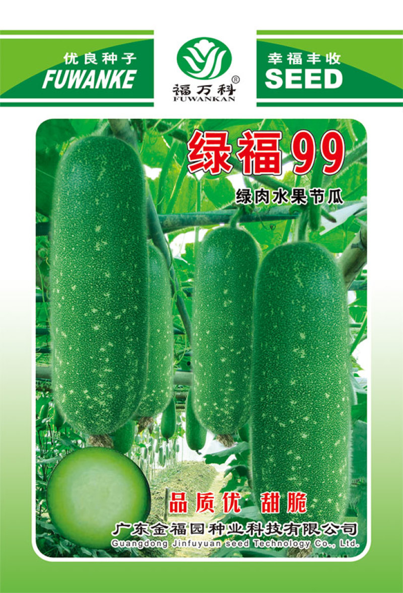 冬瓜种子绿福99早熟花点毛节瓜杂交品种翠绿皮绿肉