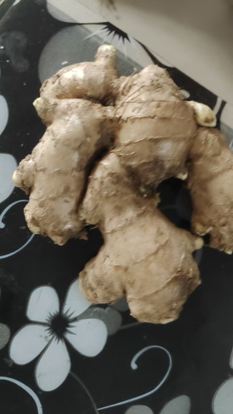 黄姜大量有货，价格美丽！