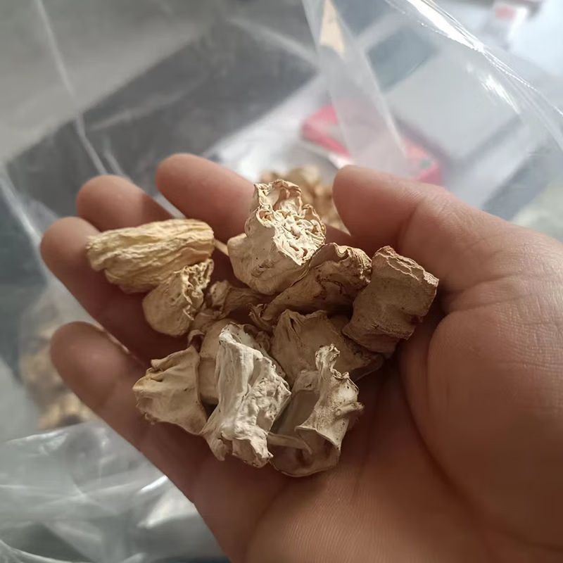 云南野生羊肚菌菌柄羊肚菌菌脚煲汤非整个羊肚菌羊肚蘑菇