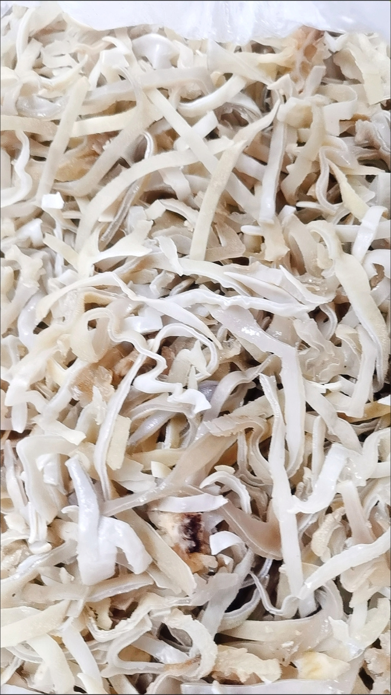 白玉丝木耳白竹耳白木耳兔耳菌大白竹菇