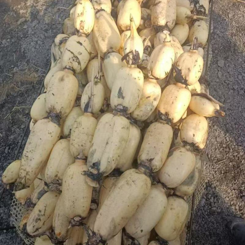 货源充足，价格便宜，质量保证，欢迎新老顾客。