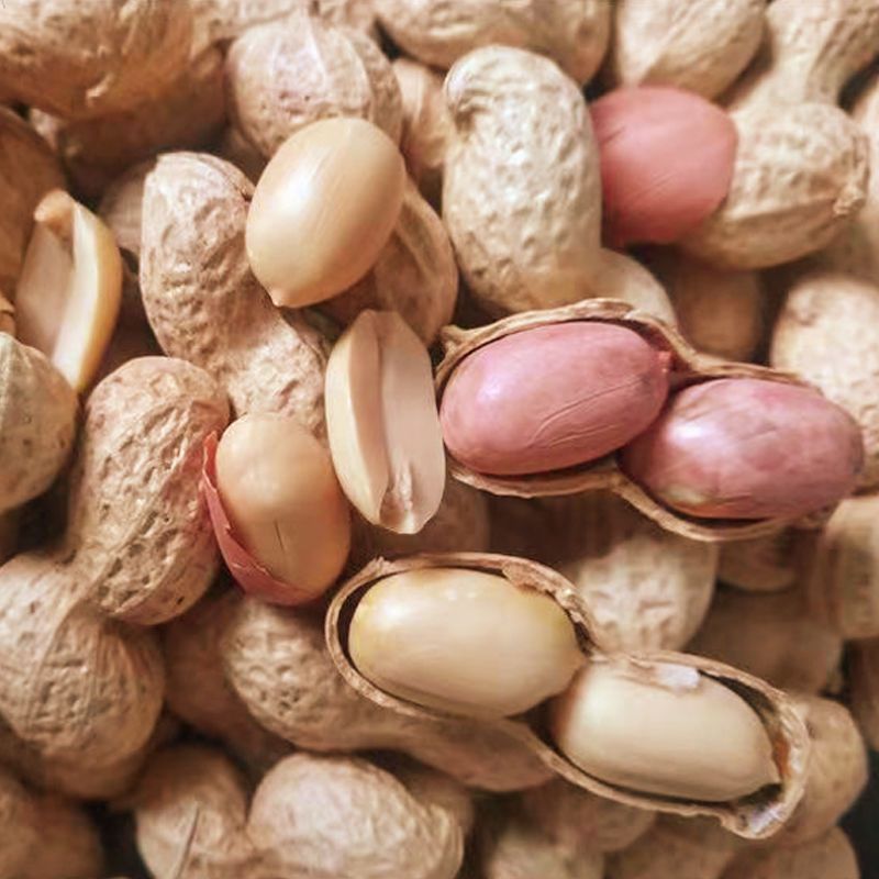原味炒花生小珍珠花生铁锅带壳原味炒花生瓜子一件代发