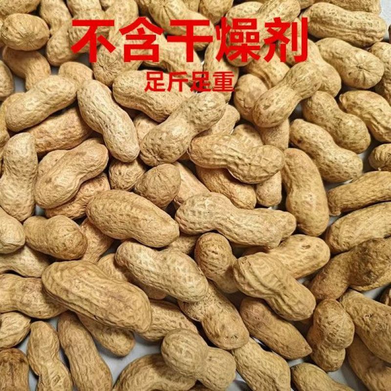 原味炒花生小珍珠花生铁锅带壳原味炒花生瓜子一件代发