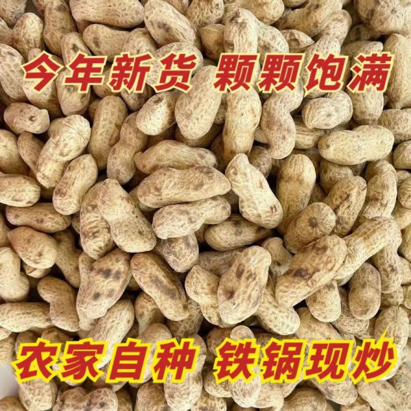 原味炒花生小珍珠花生铁锅带壳原味炒花生瓜子一件代发