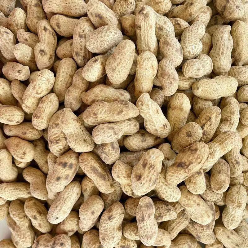 原味炒花生小珍珠花生铁锅带壳原味炒花生瓜子一件代发