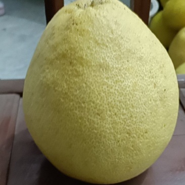 贡水白柚