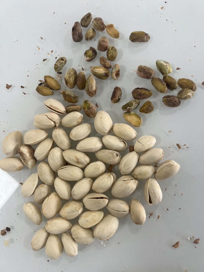 开心果电商货大量现货
