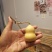小美葫芦通货