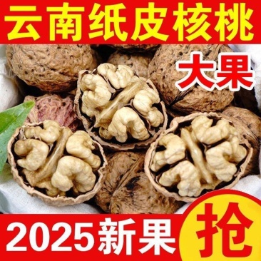 2025年新货云南核桃云南纸皮核桃薄壳核桃老树纸壳山核桃