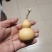 小美葫芦通货