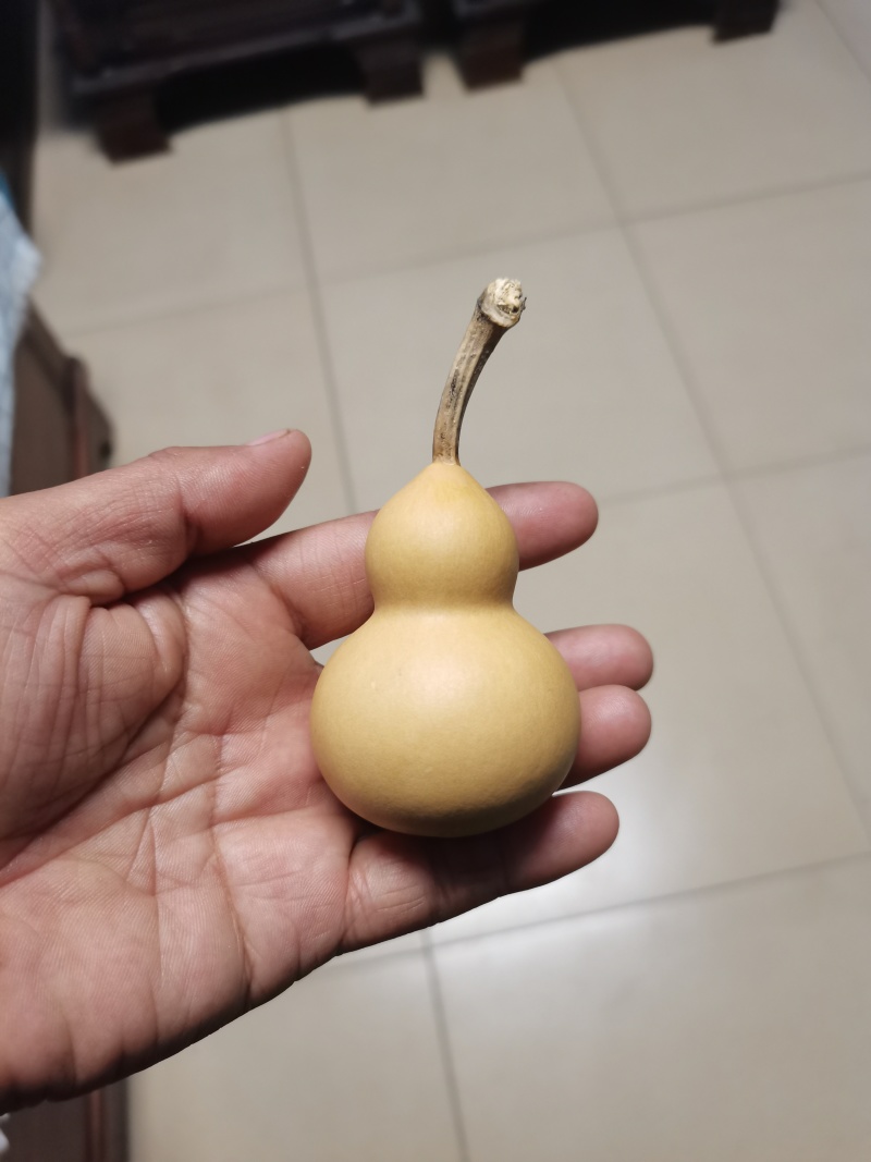小美葫芦通货