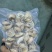 小海参人工去脏单冻真空包装一手货源