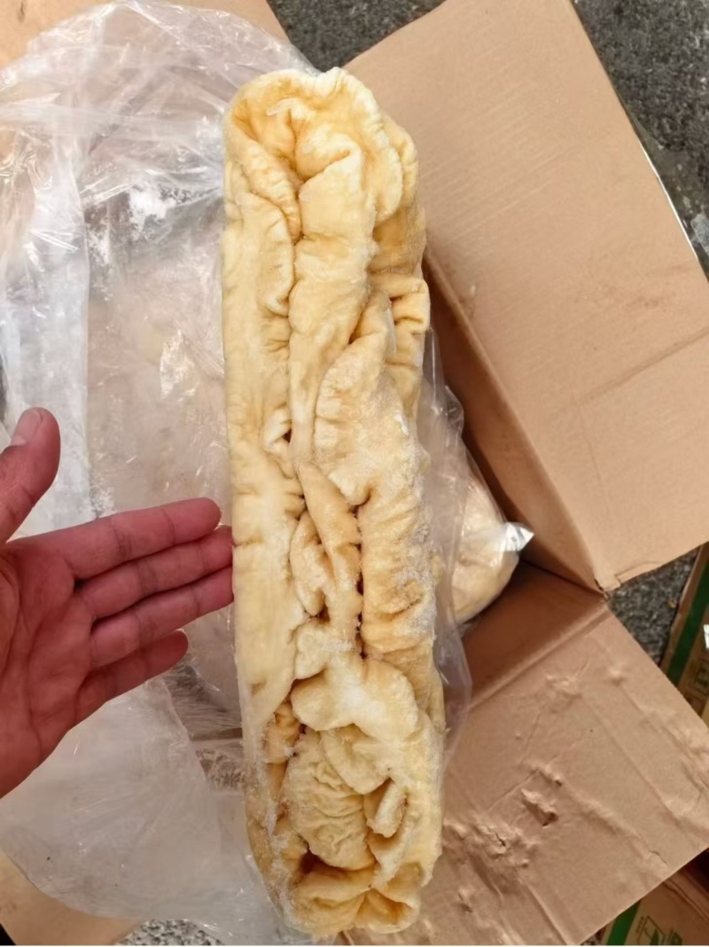 预煮大肠所有店都可用